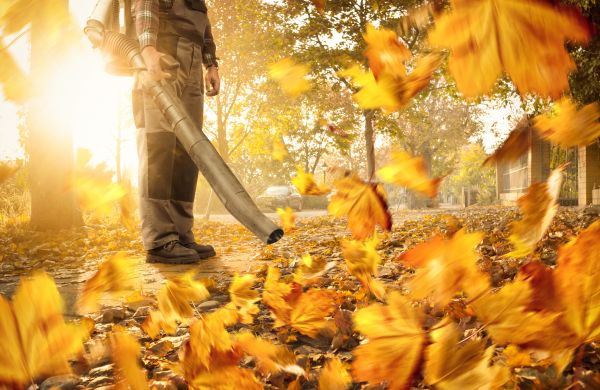Cost of Leaf Blowing Service in Vancouver