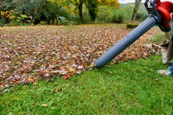 Cost of Leaf Vacuuming Service in Vancouver
