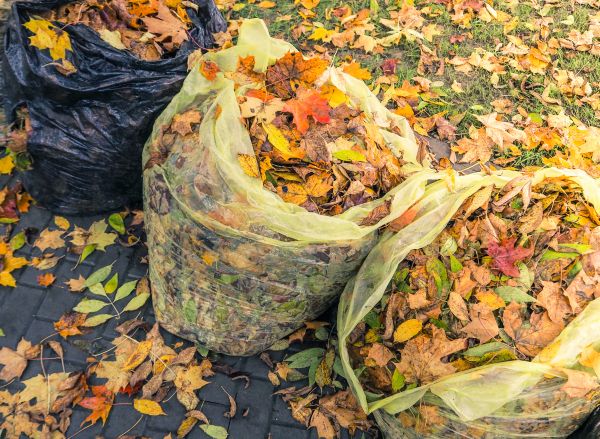 Cost of Yard Cleanup Service in Vancouver