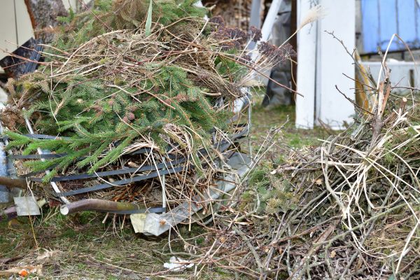 Cost of Yard Debris Removal in Vancouver