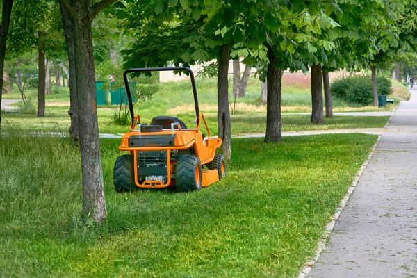 Cost of Landscaping Cleanup Service in Vancouver