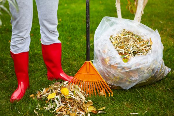 Cost of Leaf Disposal Service in Vancouver