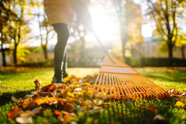 Cost of Leaves Raking in Vancouver