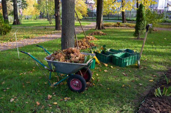 Cost of Leaf Clearing Service in Vancouver