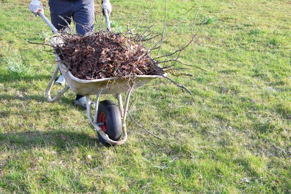 Cost of Yard Brush Removal in Vancouver