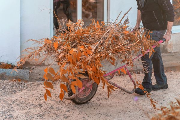 Cost of Lawn Debris Cleanup in Vancouver