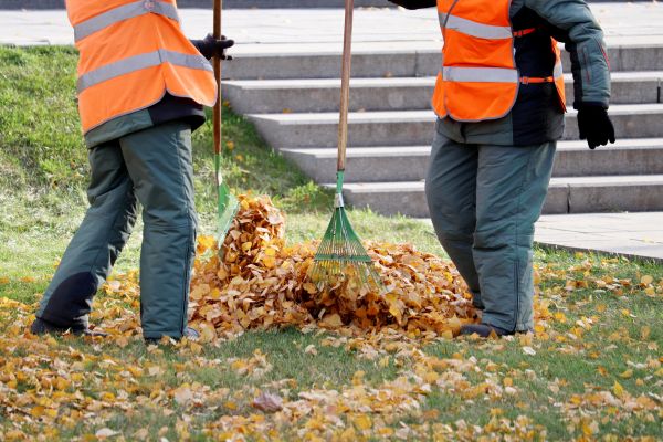 Cost of Leaf Hauling Service in Vancouver