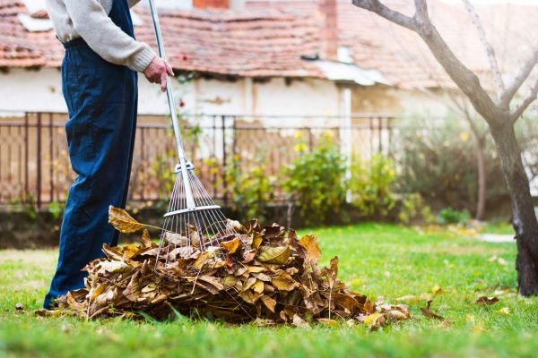 Cost of Spring Lawn Cleanup in Vancouver