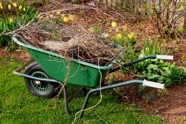 Cost of Lawn Waste Removal in Vancouver
