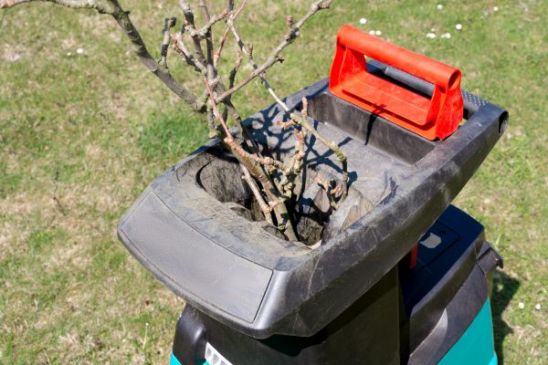 Cost of Brush Cleanup Service in Vancouver