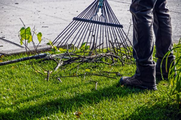 Cost of Yard Debris Cleanup in Vancouver