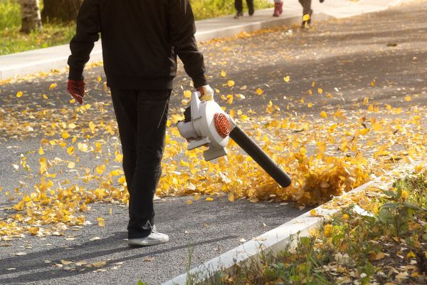 Cost of Commercial Leaf Removal in Vancouver
